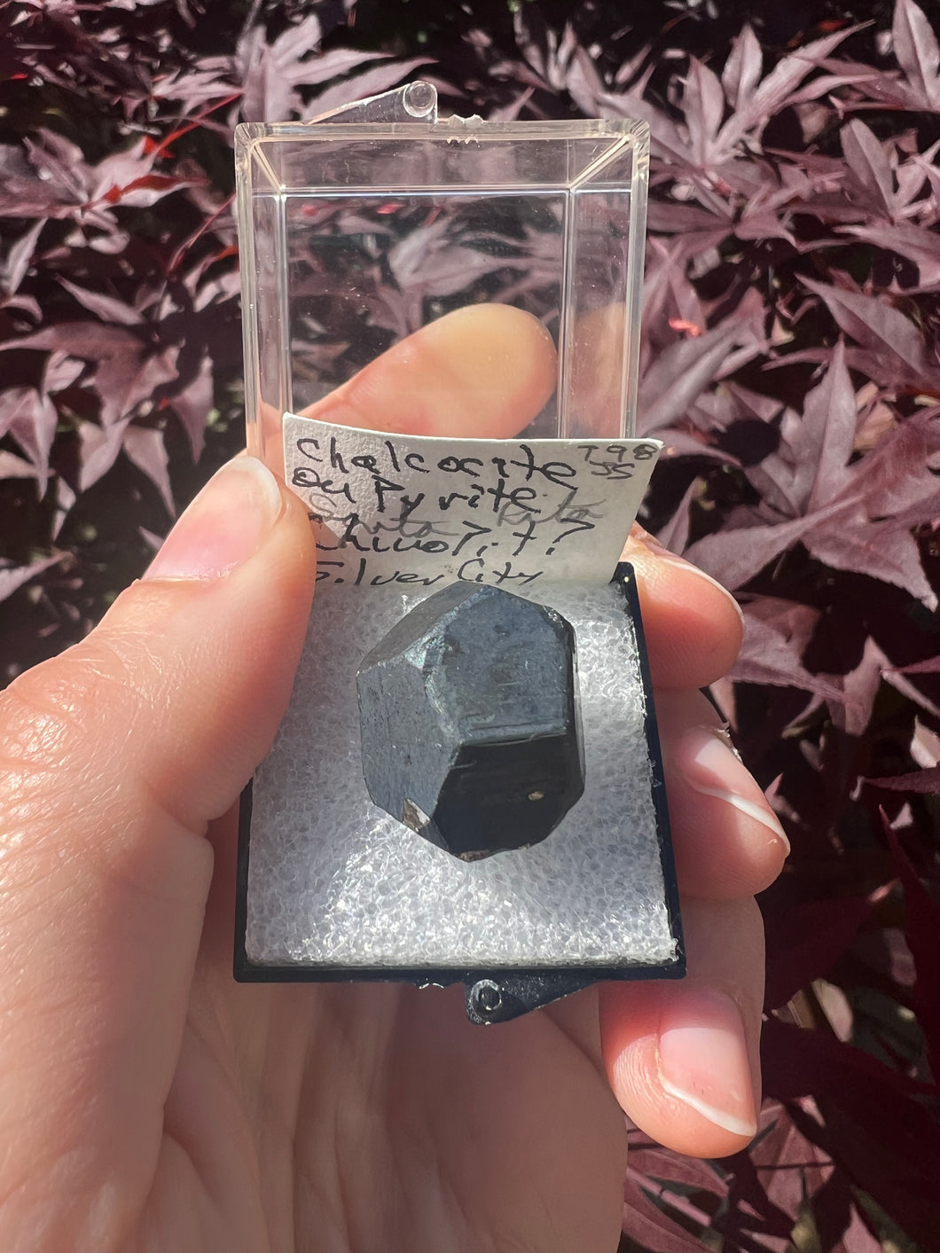 Chalcocite on Pyrite Thumbnail